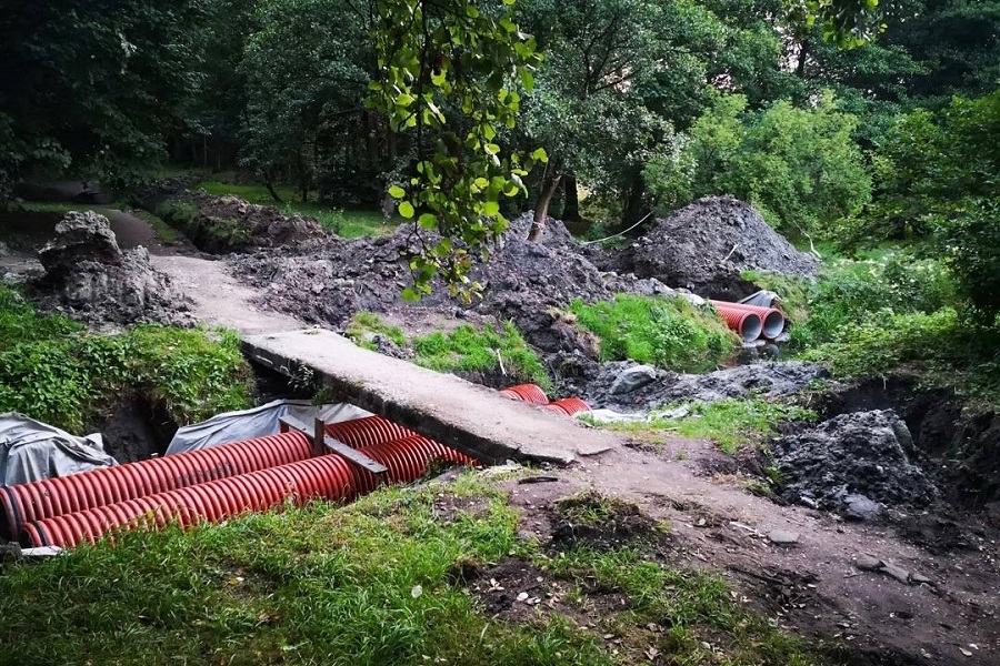 Природоохранная прокуратура выявила нарушения при реконструкции Макс-Ашманн-парка