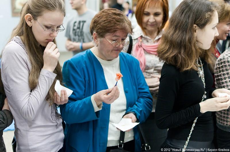 «С миру по вишенке»: фоторепортаж с выставки японской культуры