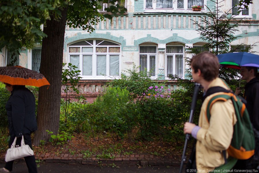 Музыка под балконом: в Калининграде прошёл фестиваль «Когда звучат улицы»
