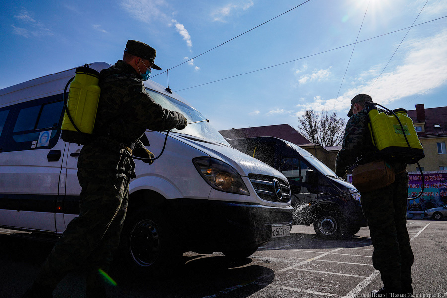 Тесты, маски, прививки: на Балтфлот отправили первых призывников весны-2021 (фото)