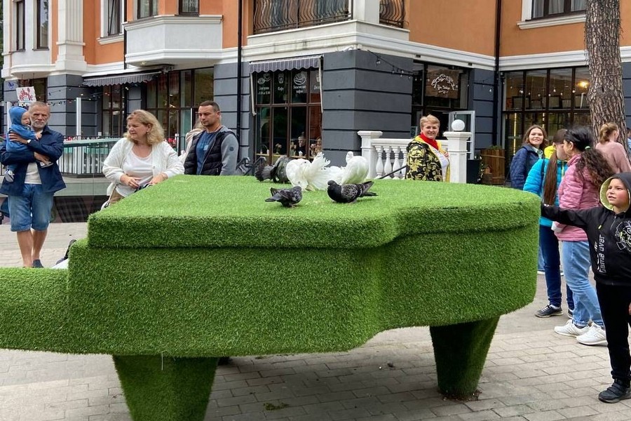 В Светлогорске полиция задержала молодых людей, предлагавших сфотографироваться с голубями