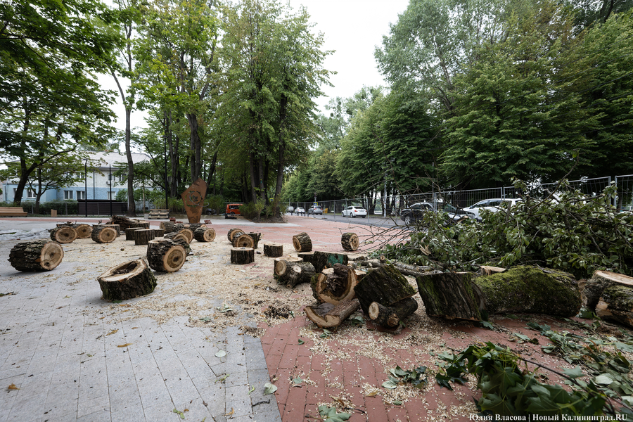 Почти готов, но дата открытия под вопросом: как сейчас выглядит Каштановый парк (фото)