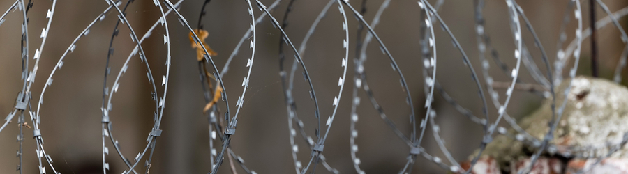 Вечерний @Калининград: срок за донат, собачий холод и сказки Гофмана