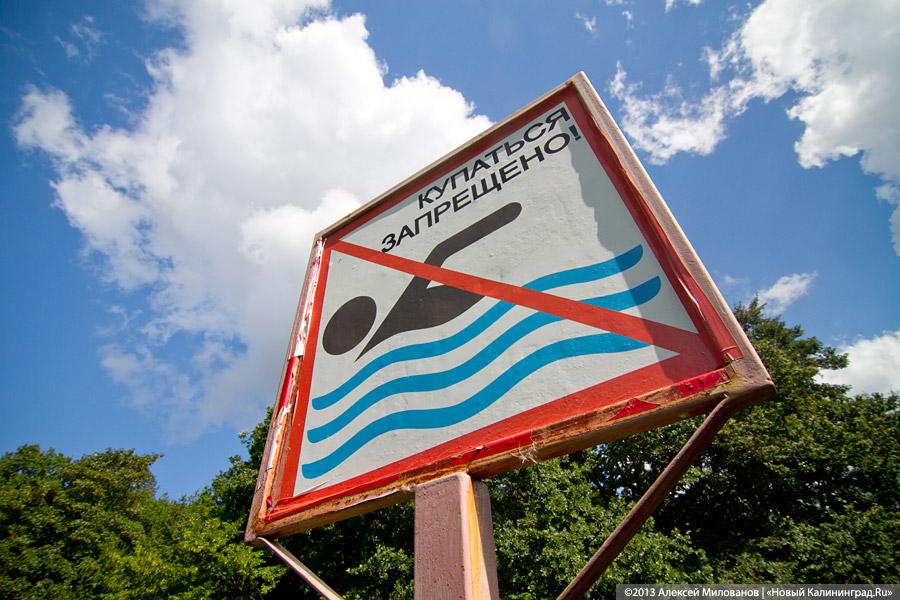 В ожидании чуда: судьба Макс-Ашманн-парка