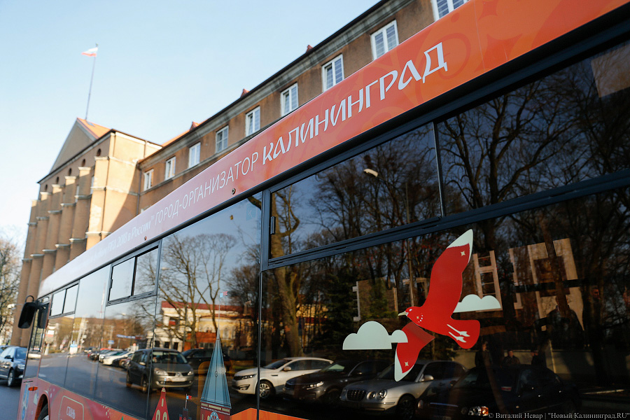 Верхом на трёхглазой змее: на калининградские автобусы нанесли символику ЧМ