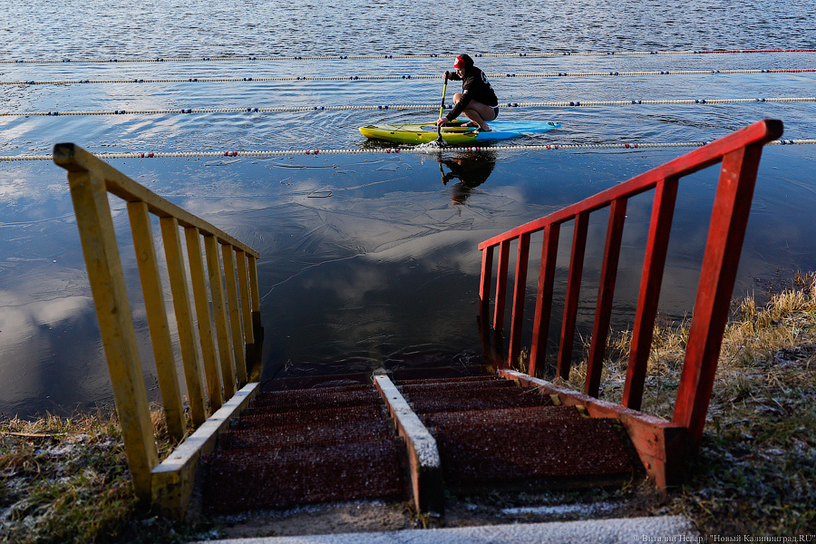 Время моржей: в  Калининграде прошли соревнования по зимнему плаванию (фото)