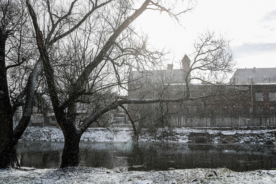 Художественная развалина: что происходит с Домиком Коринта в Гвардейске (фото)