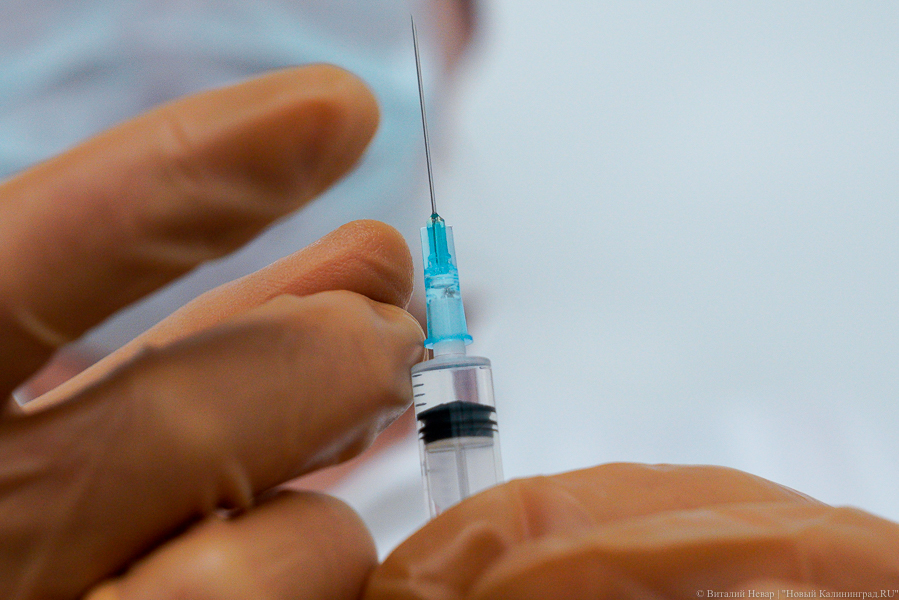 В Калининградской области задумались о переносе сроков обязательной вакцинации