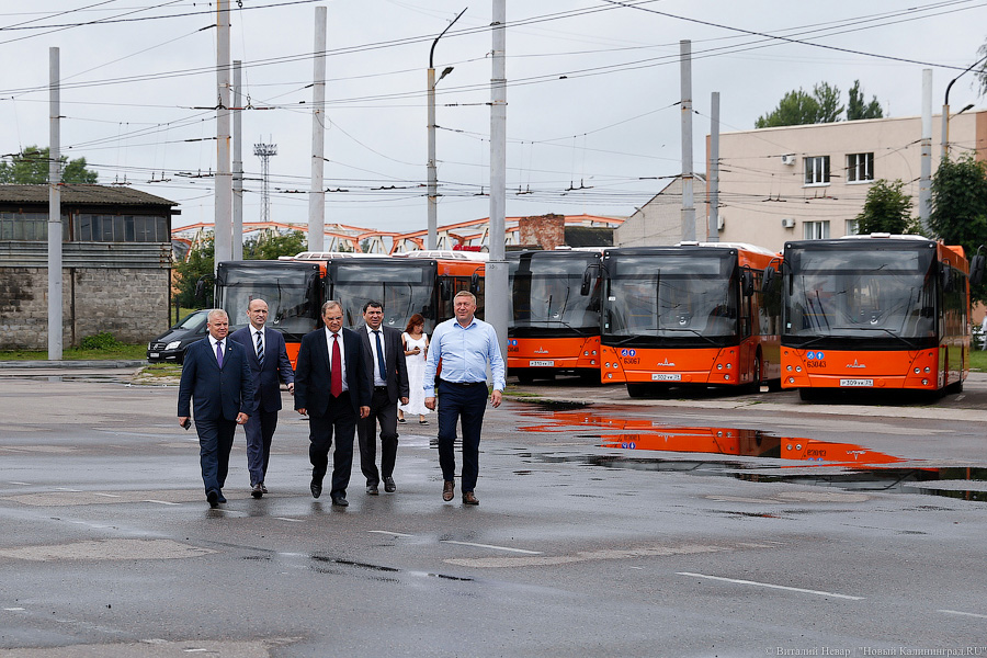 Оранжевое счастье: Калининграду передали 100 новых автобусов МАЗ (фото)