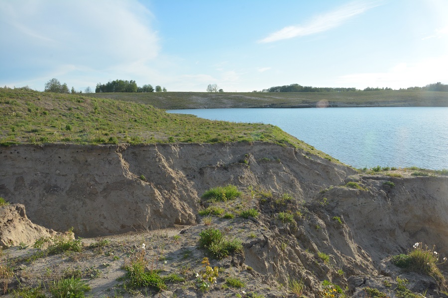 Озеро вместо леса: как выглядит после рекультивации карьер, где вырубили 60 га (фото)