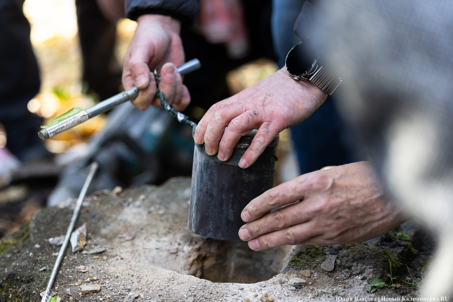 Эхо прошлого: в Калининградском зоопарке извлекли 94-летнюю «капсулу времени» (фото)