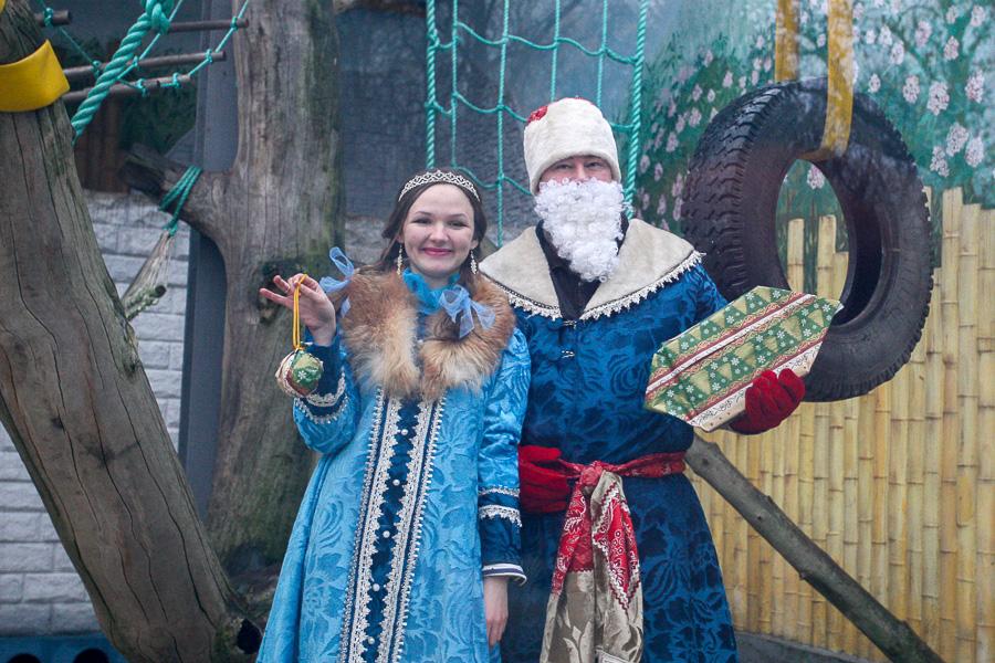 Конина к году Лошади: зоопарк раздал животным любимые лакомства