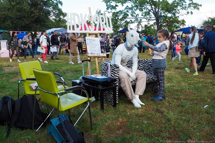 Подари мне дом: на Верхнем озере организовали выставку бездомных животных