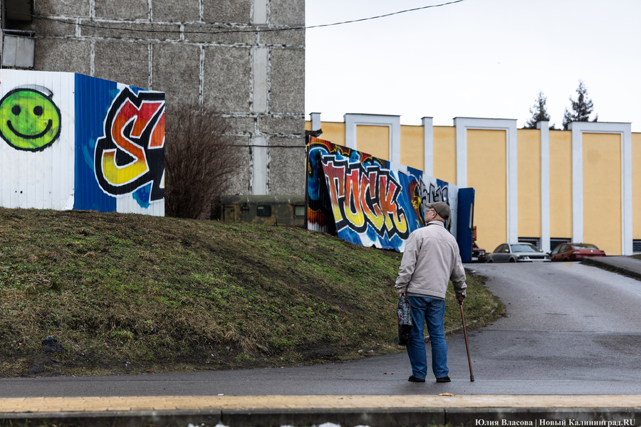 Елена Дятлова заметила, что в Калининграде «опять всплеск нанесения граффити»