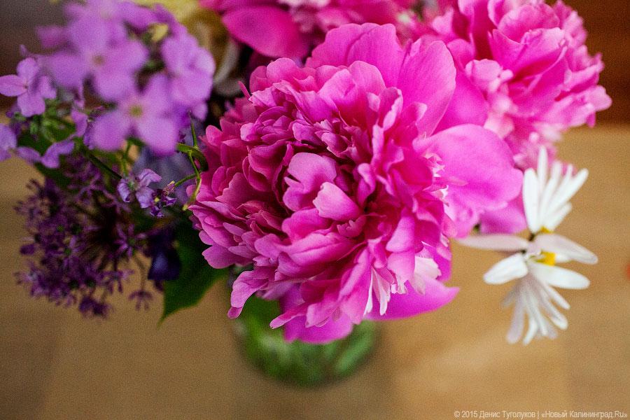 С морской солью и без свидетелей: как прошел ужин по «Игре престолов»