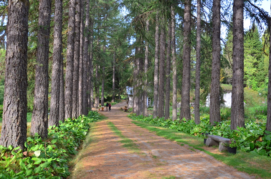 Русский север, русский дух и Белое море: для чего нужно ехать на Соловки (фото)