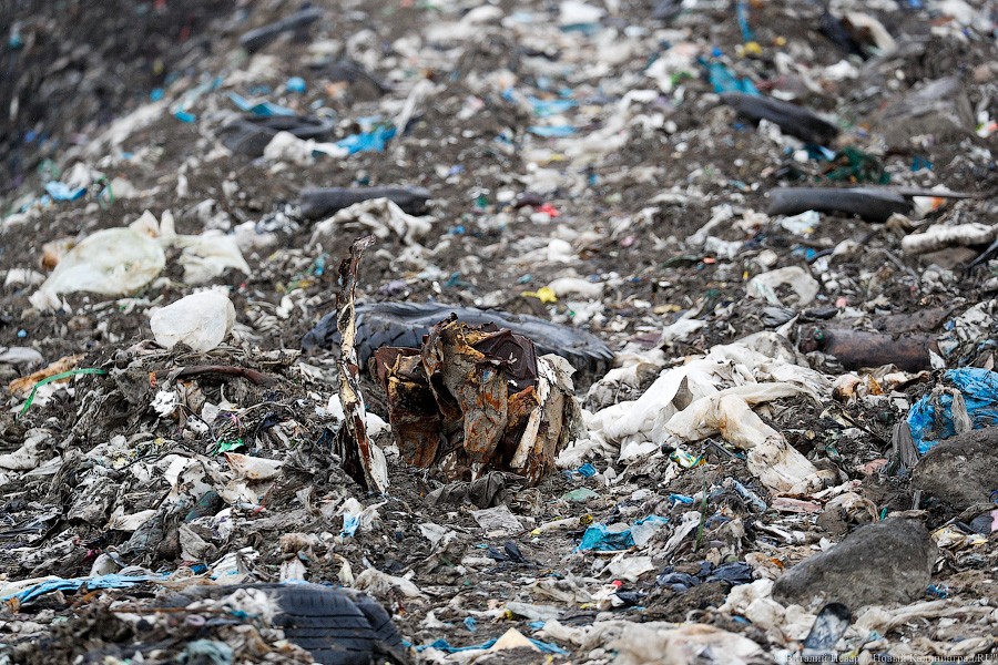 Алиханов о выборе места для нового полигона ТКО: «Идеально не получится»