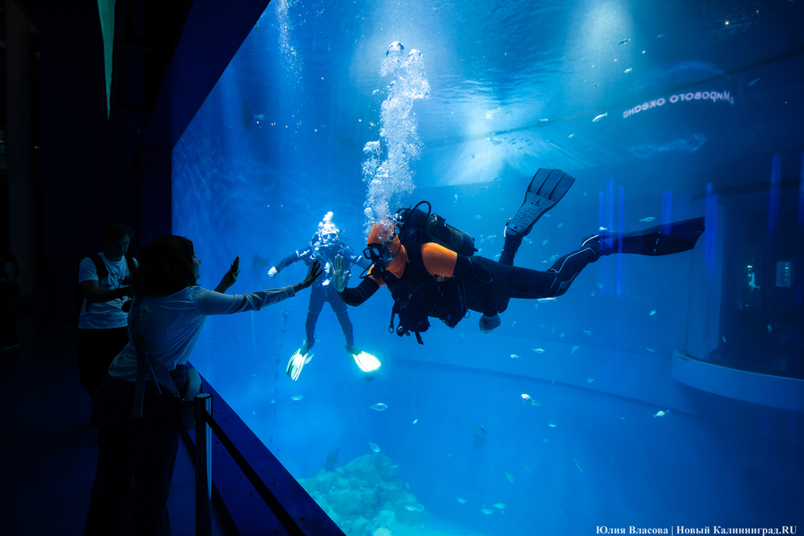Музей-корабль, музей-планета: экскурсия по корпусу-шару «Планета Океан»