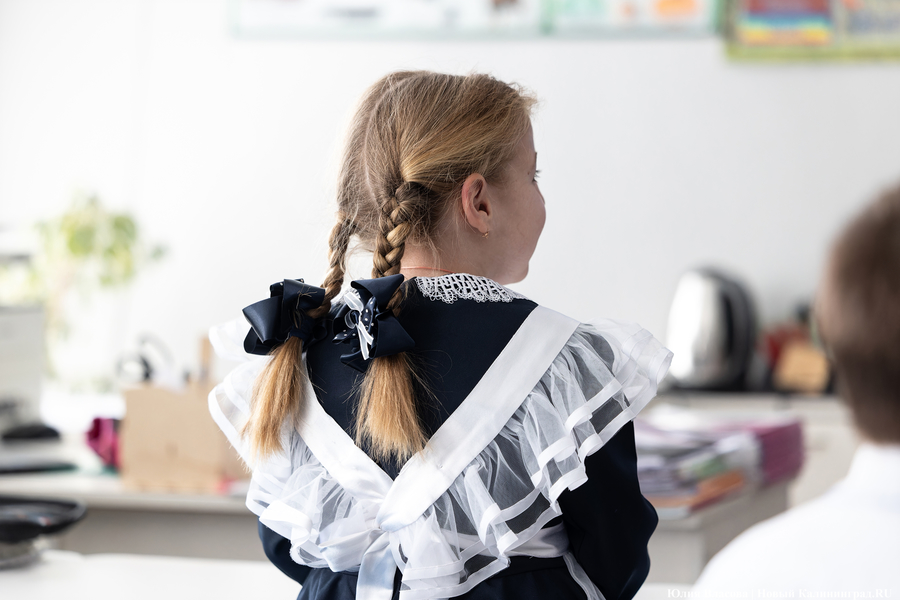 Власти рассказали, сколько денег выделено на инновационные образовательные проекты