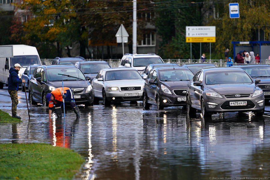 Другой берег улицы: Калининград затопило после шторма (да, опять)