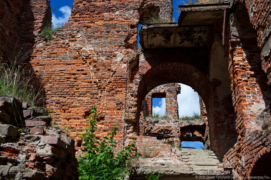 Фото: Денис Туголуков / Новый Калининград