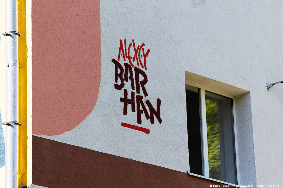 То, чему предстоит стать классикой: на зданиях БФУ им. Канта нарисовали четыре мурала (фото)