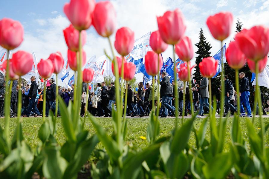 Все на Первомай: в Калининграде прошли праздничные шествия