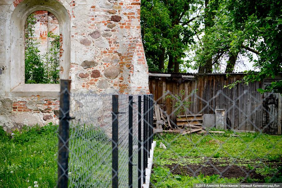 Забытые могилы: кирха и кладбище в поселке Тишино зарастают деревьями