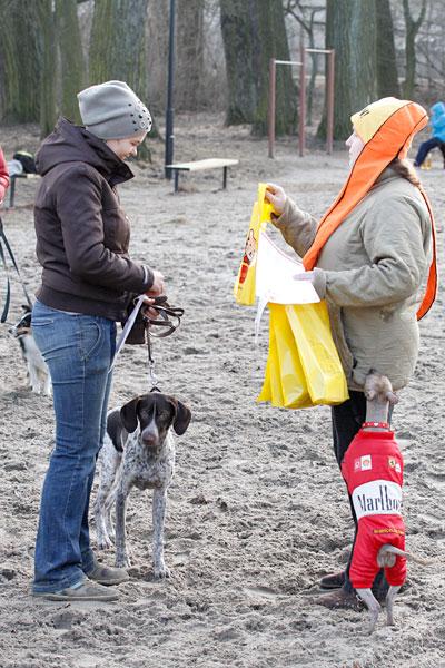 «Главные по тарелочкам»: фоторепортаж с соревнований по дог-фрисби
