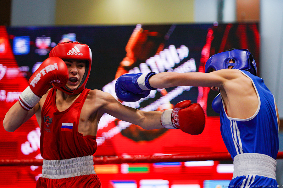 Очередной нокдаун: в Калининграде прошёл международный турнир по боксу «Янтарные перчатки»