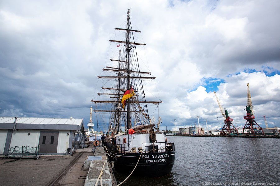 В Калининграде можно бесплатно посетить пятидесятиметровый немецкий бриг «Roald Amundsen»