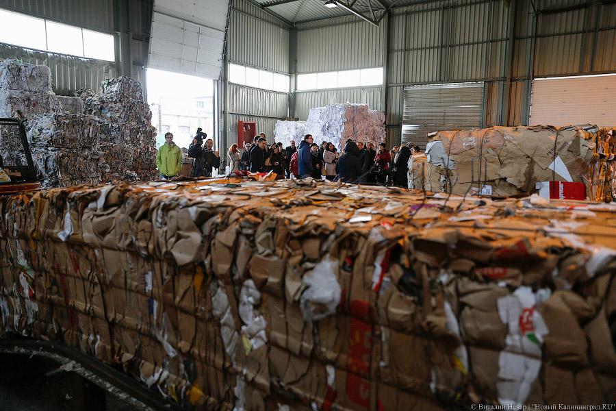 «Нечистый» бизнес: как и где в Калининграде научились зарабатывать на отходах