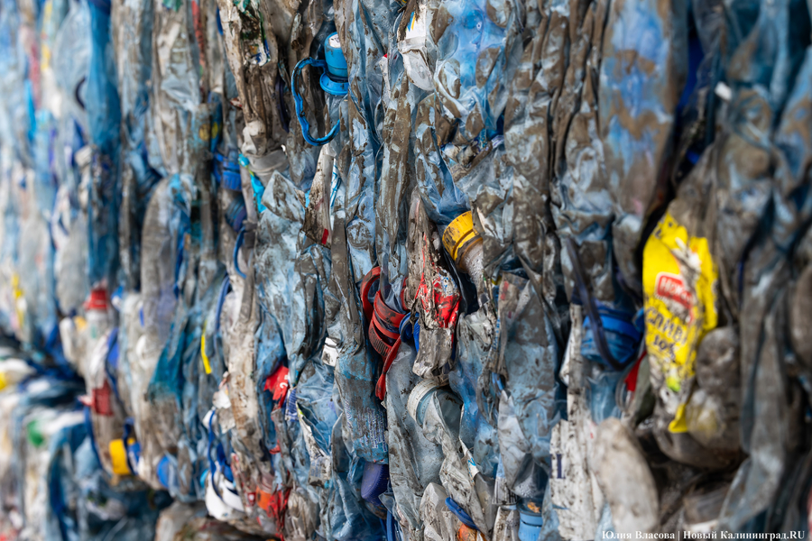 «Ничего на свалку не уйдет»: в Калининграде стали раздельно собирать 14 видов отходов (фото)