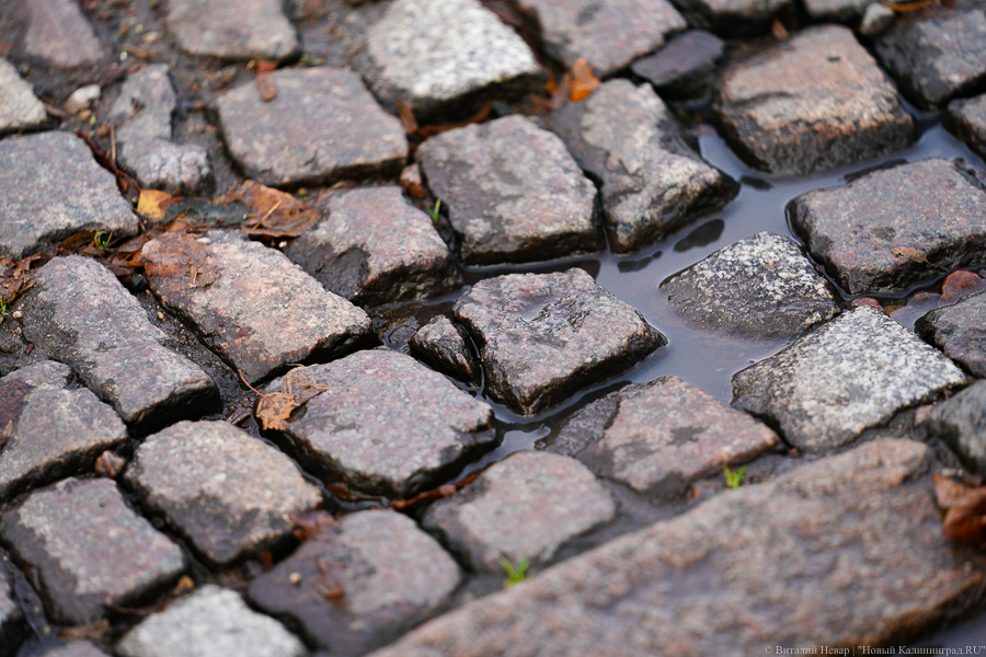 «Малой кровью» не обойтись: Дятлова рассказала, где «уместно» оставить брусчатку в Калининграде