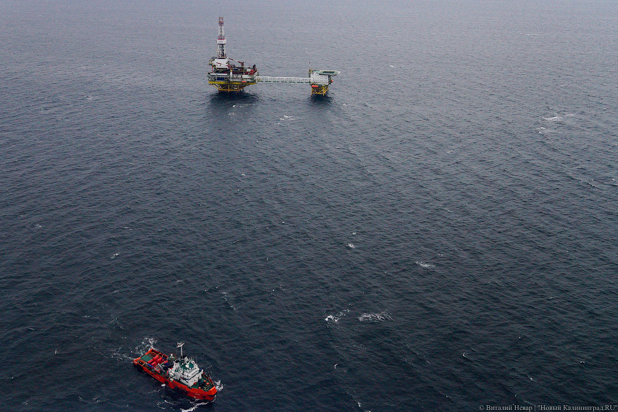 Прилетит вдруг волшебник: как голосовали на платформе «Д-6»