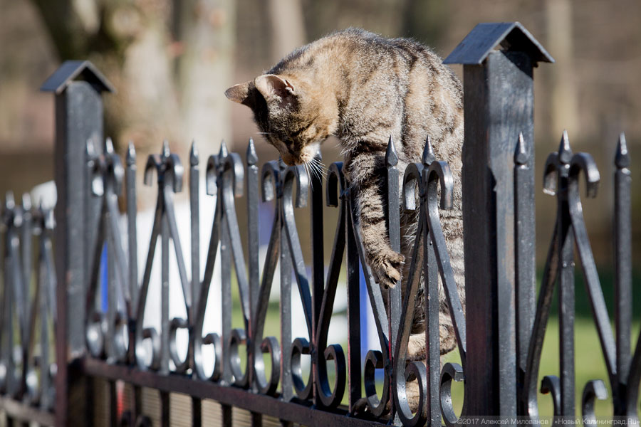 В школу, в армию и в лагеря: нововведения апреля