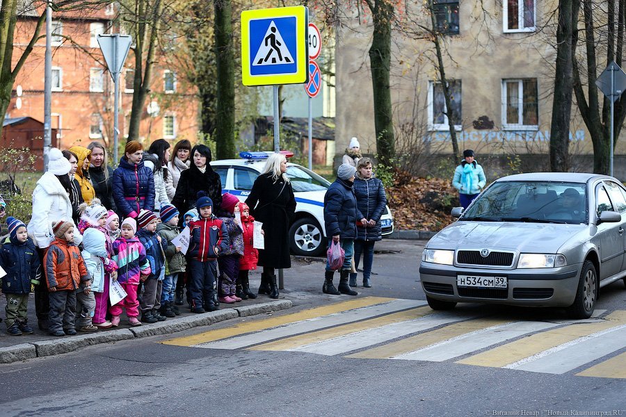 «Заметьте нас»: в Калининграде дети вышли на пикет в поддержку пешеходов 