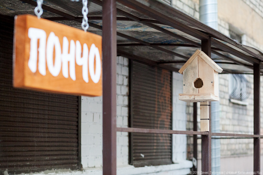 Новое место: пончиковая «Пончо» на улице Чайковского