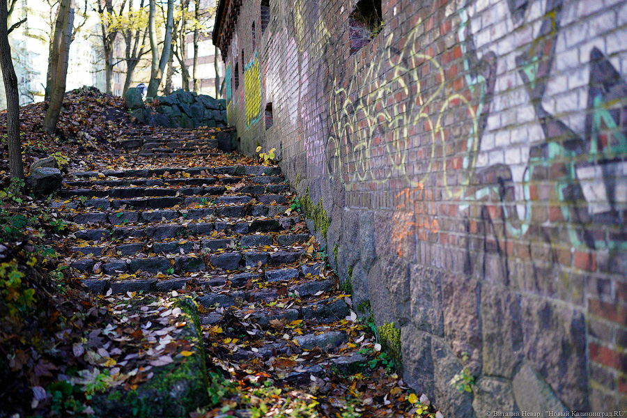 «Мы знали только о войне»: калининградец открывает музей ресторанной жизни Восточной Пруссии