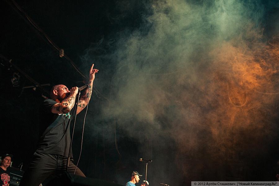 Фото — Артем Сташкевич для «Нового Калининграда.Ru»