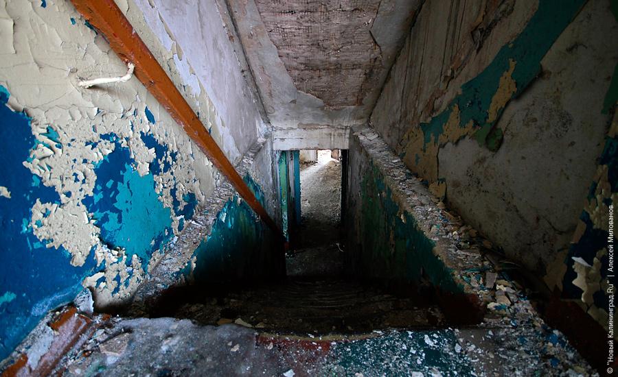 "Пустые дома: Тельмана, 17-19": фотопроект "Нового Калининграда.Ru"