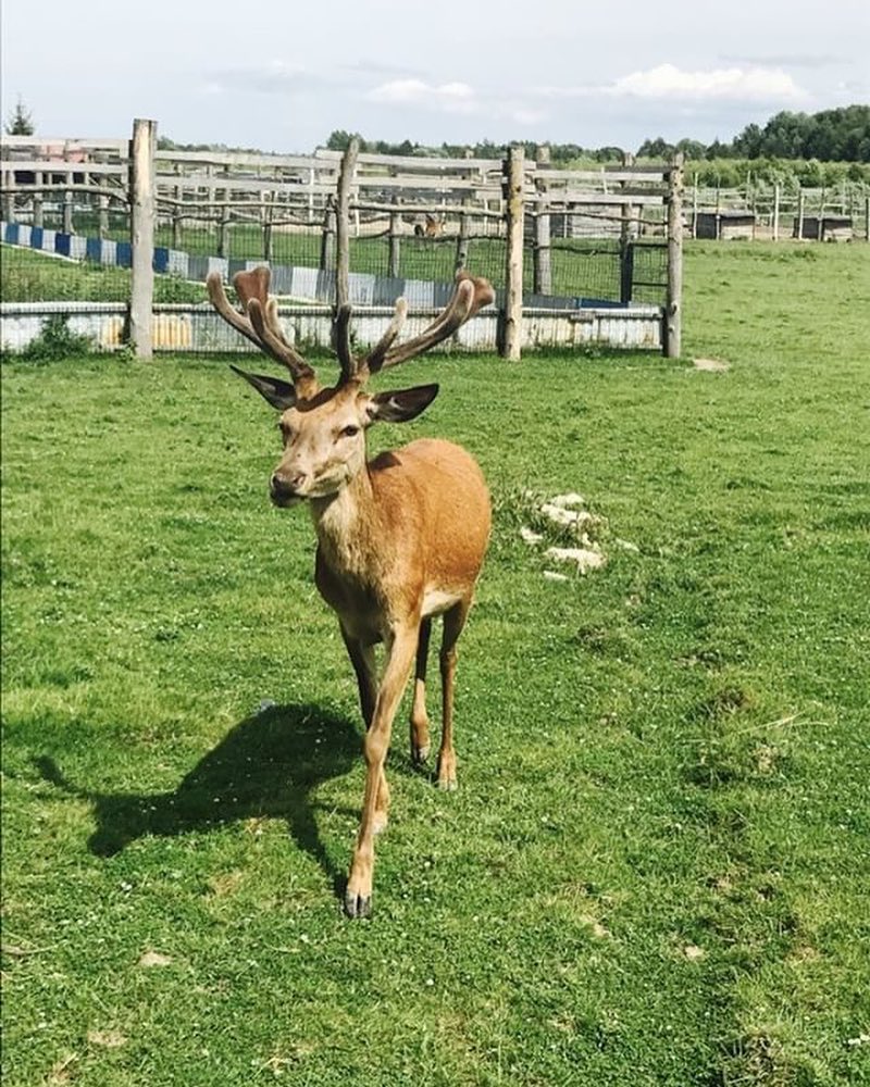 Подворье на Хуторской приглашает в гости в эту пятницу!