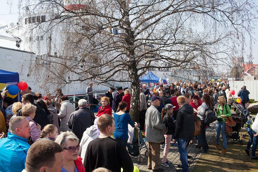 Без свёклы и майонеза: как прошёл 10-й День селёдки в Калининграде