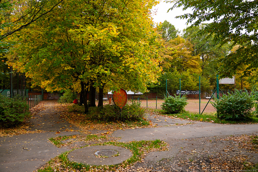 Увидеть в последний раз: осень на стадионе «Спартак», который хотят застроить (фото)