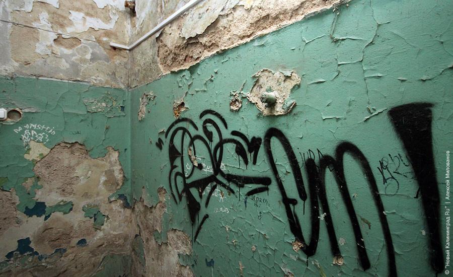 "Неизменная космическая чистота": фоторепортаж "Нового Калининграда.Ru"