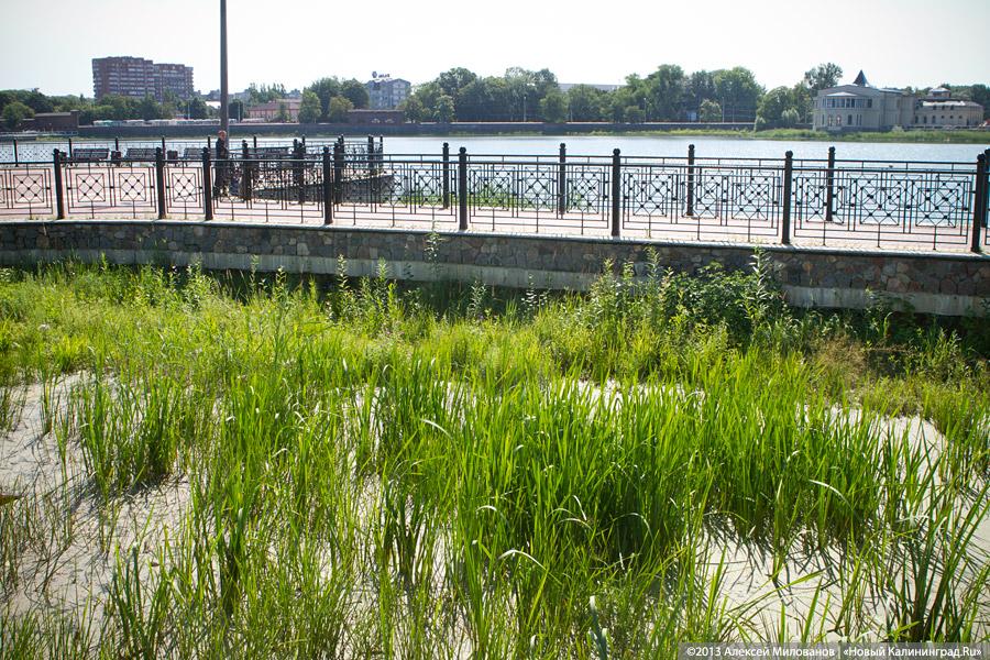 С собакой-улыбакой: Ярошук вновь пообещал завершить реконструкцию набережной Верхнего озера