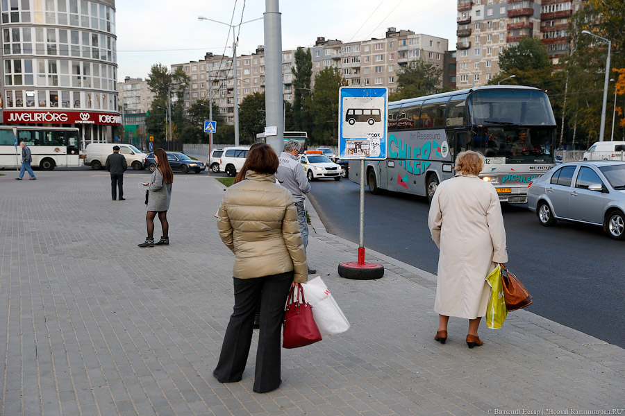 Власти Калининграда выделили деньги на 9 новых остановочных павильонов