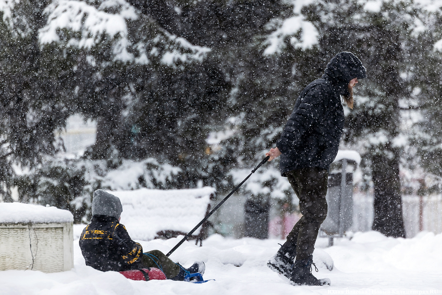 Пролетая на ватрушке: как в Центральном парке катаются с горки вопреки запретам (фото)