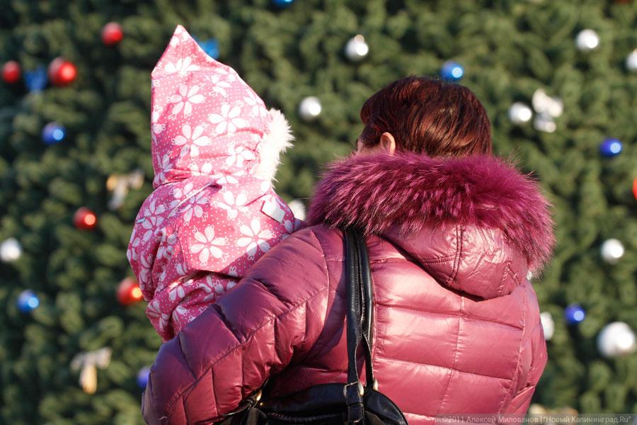 "Много на ёлочке шариков цветных": фоторепортаж "Нового Калининграда.Ru"