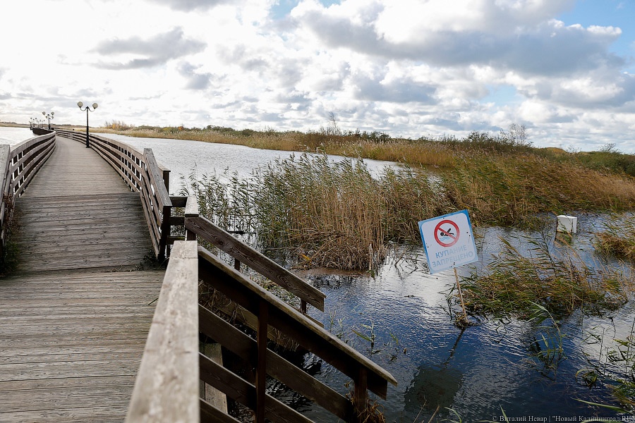 Всё смыло: Светлогорск, Янтарный и Филино после шторма